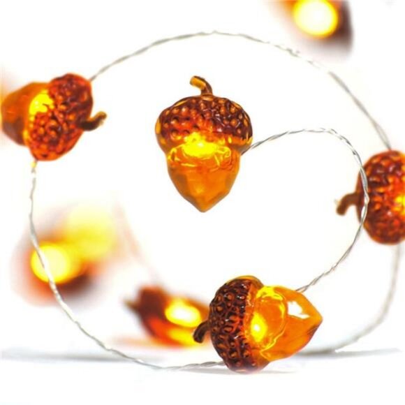 Thanksgiving Decorations Acorn Lights String 10ft 40 LEDs Fairy String - Picture 1 of 7